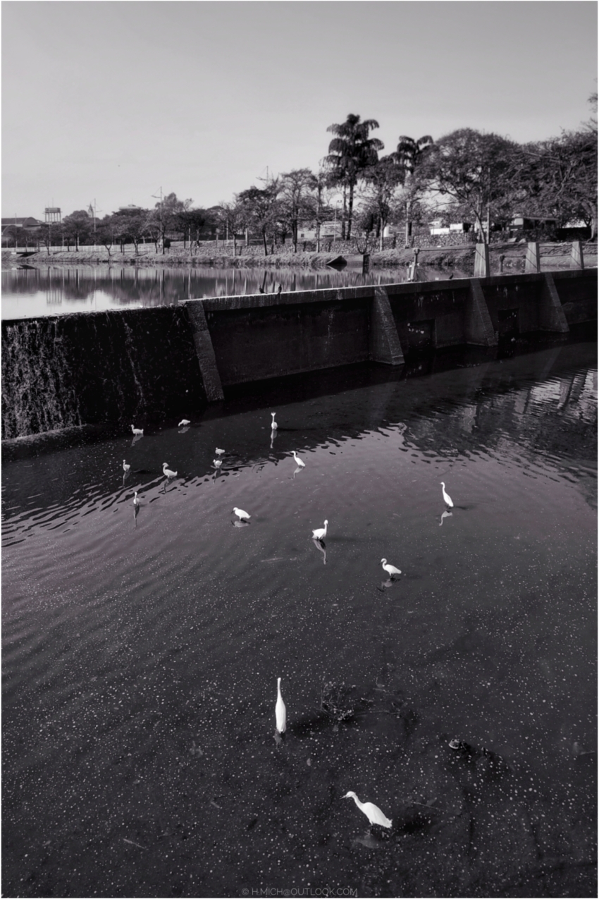 Studio-One.Art.br Repo Fotografia em Rio Preto SP/Brasil