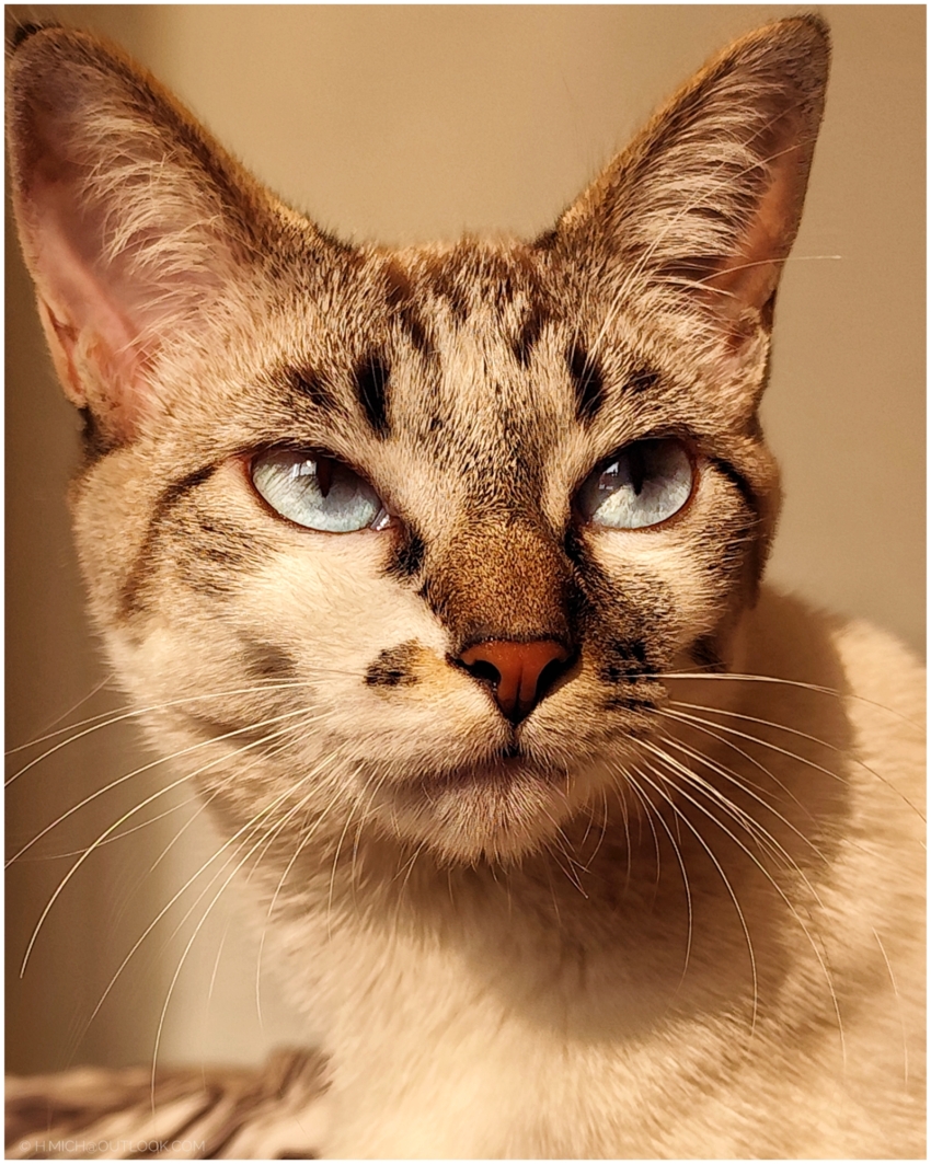 Studio-One.Art.br Repo Fotografia em Rio Preto SP/Brasil