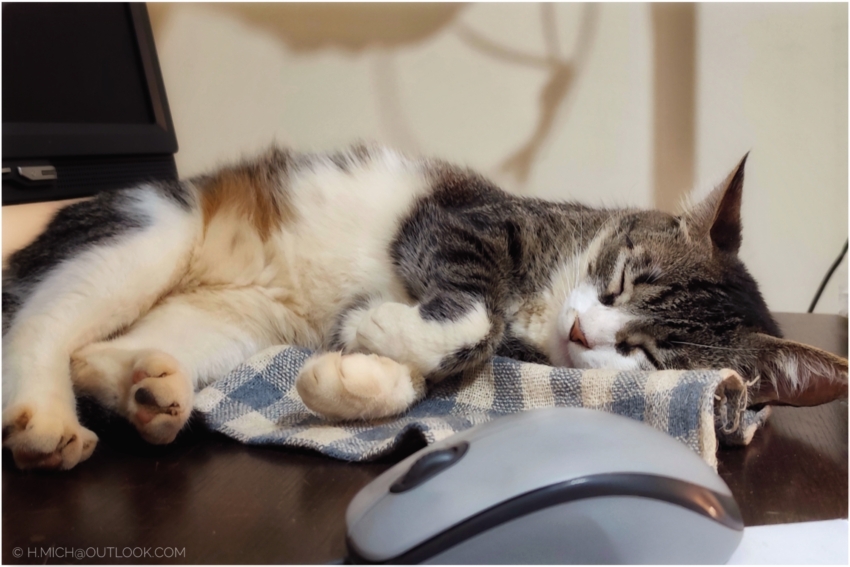 Studio-One.Art.br Repo Fotografia em Rio Preto SP/Brasil