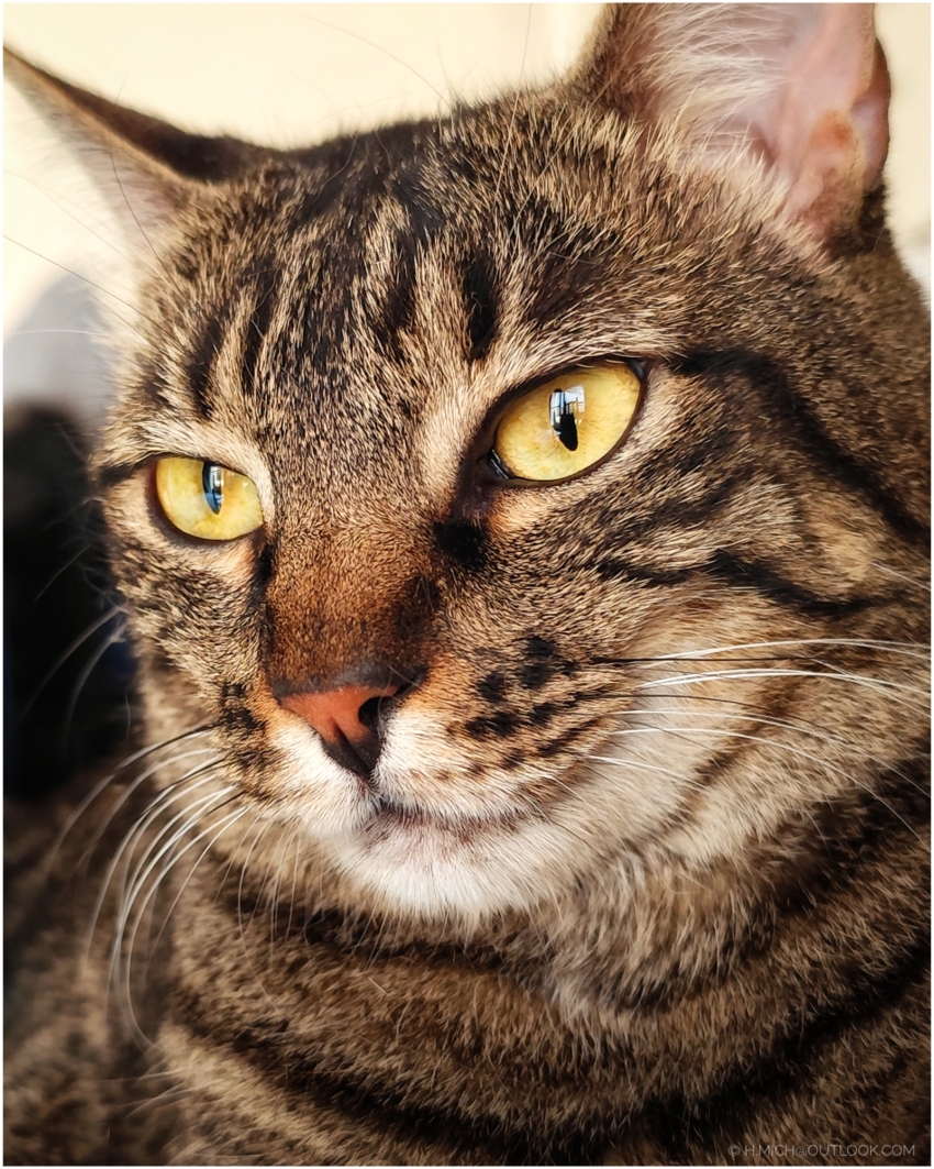 Studio-One.Art.br Repo Fotografia em Rio Preto SP/Brasil