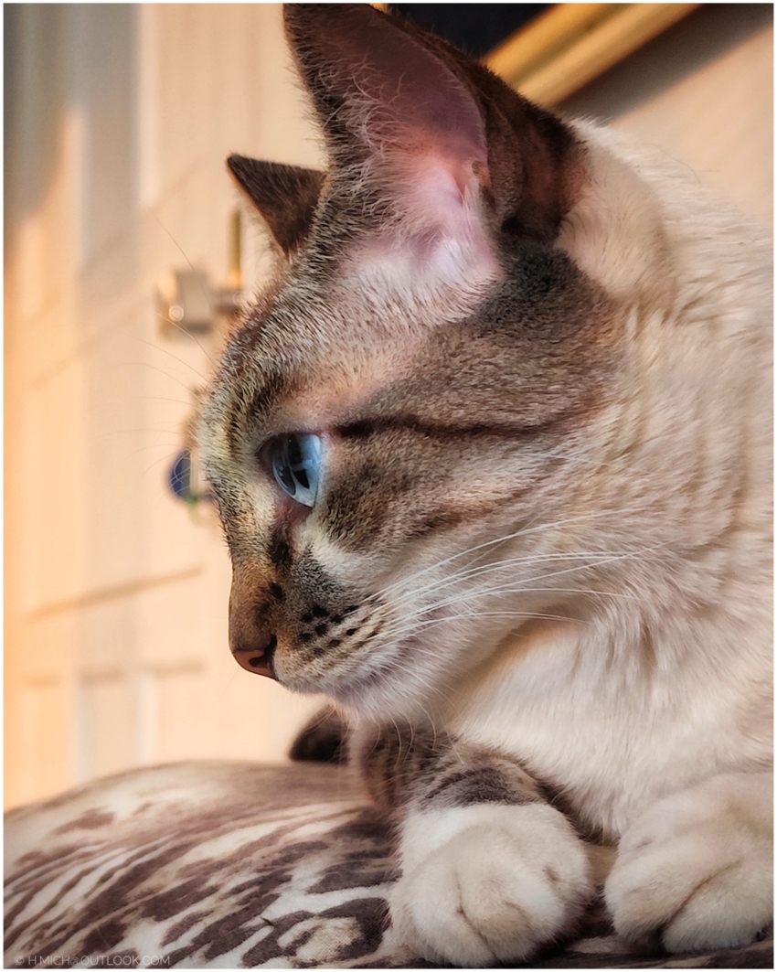 Studio-One.Art.br Repo Fotografia em Rio Preto SP/Brasil