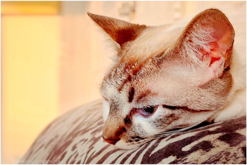 Studio-One.Art.br Repo Fotografia em Rio Preto SP/Brasil