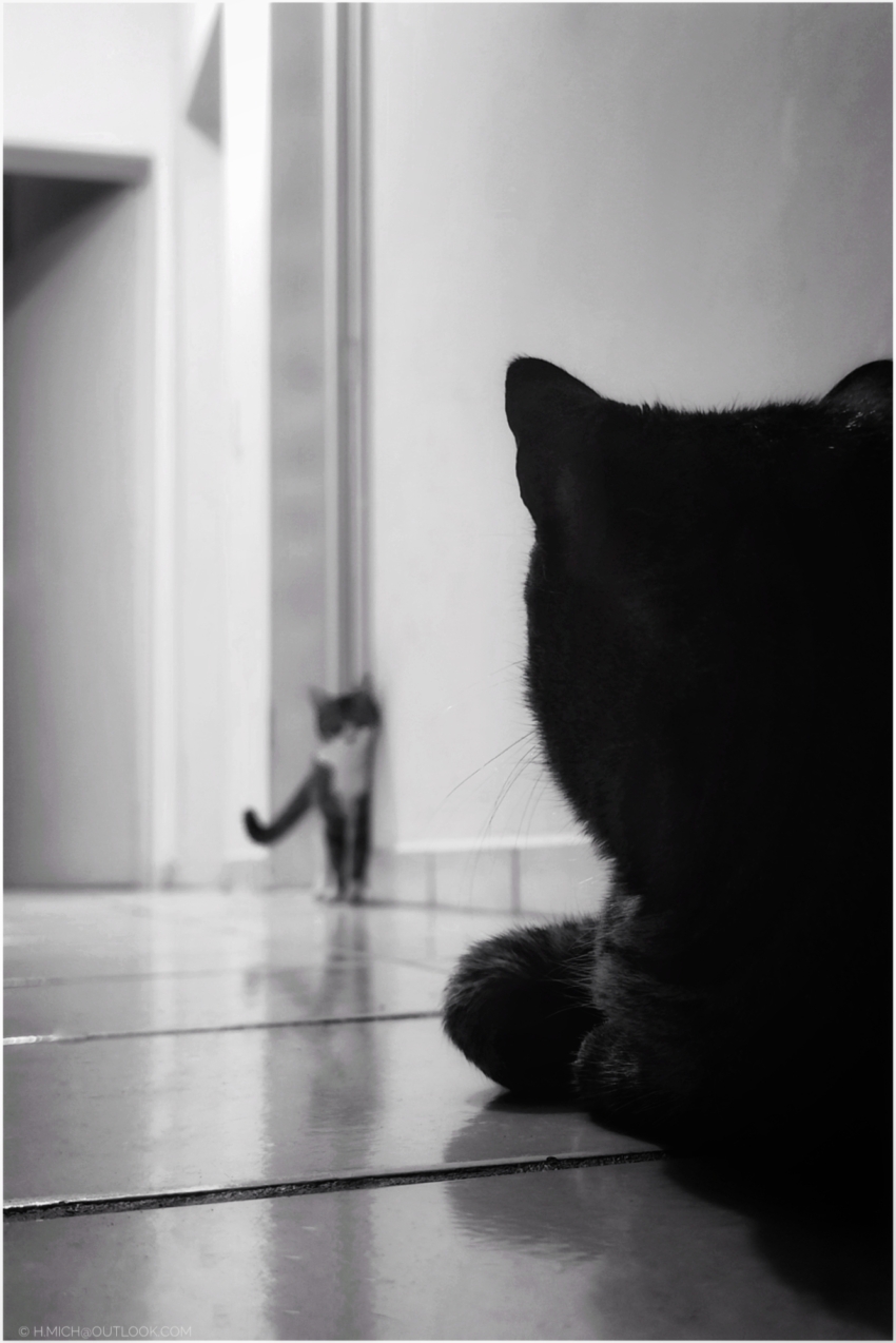 Studio-One.Art.br Repo Fotografia em Rio Preto SP/Brasil