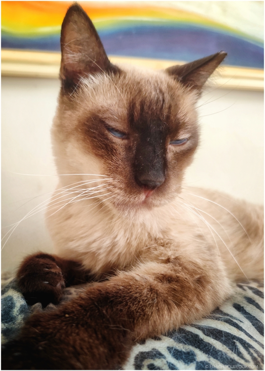 Studio-One.Art.br Repo Fotografia em Rio Preto SP/Brasil