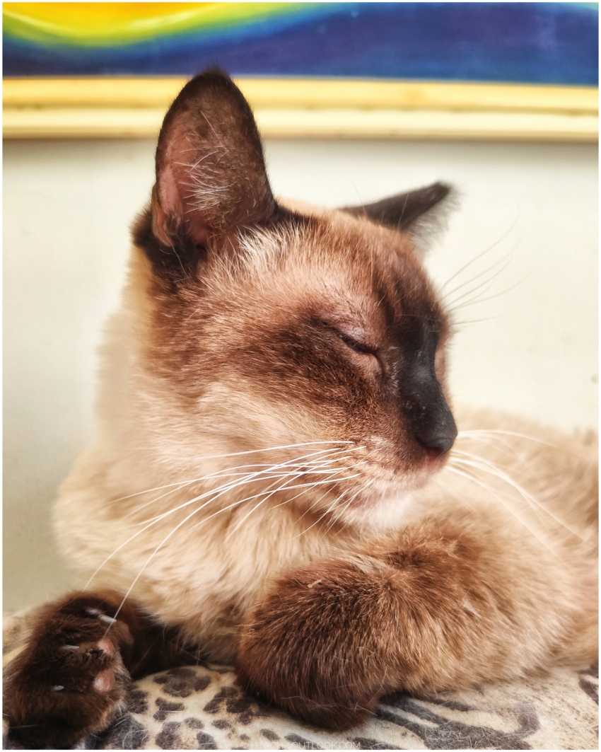 Studio-One.Art.br Repo Fotografia em Rio Preto SP/Brasil