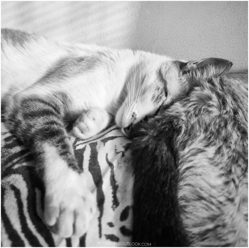 Studio-One.Art.br Repo Fotografia em Rio Preto SP/Brasil