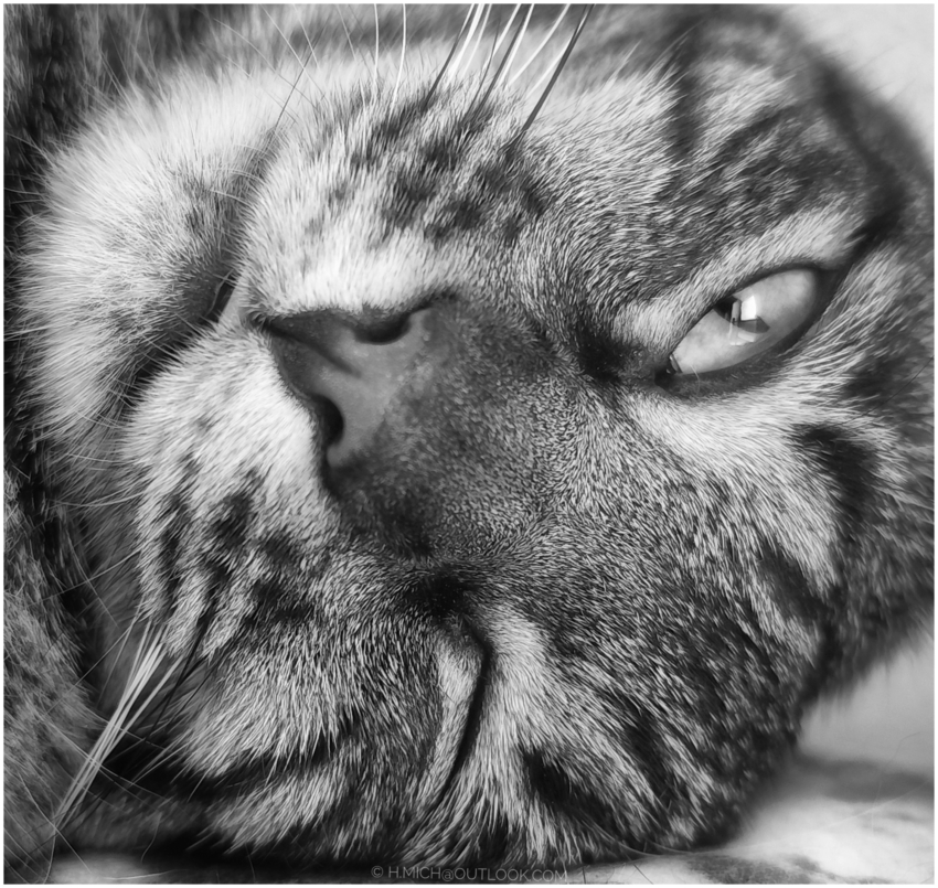 Studio-One.Art.br Repo Fotografia em Rio Preto SP/Brasil