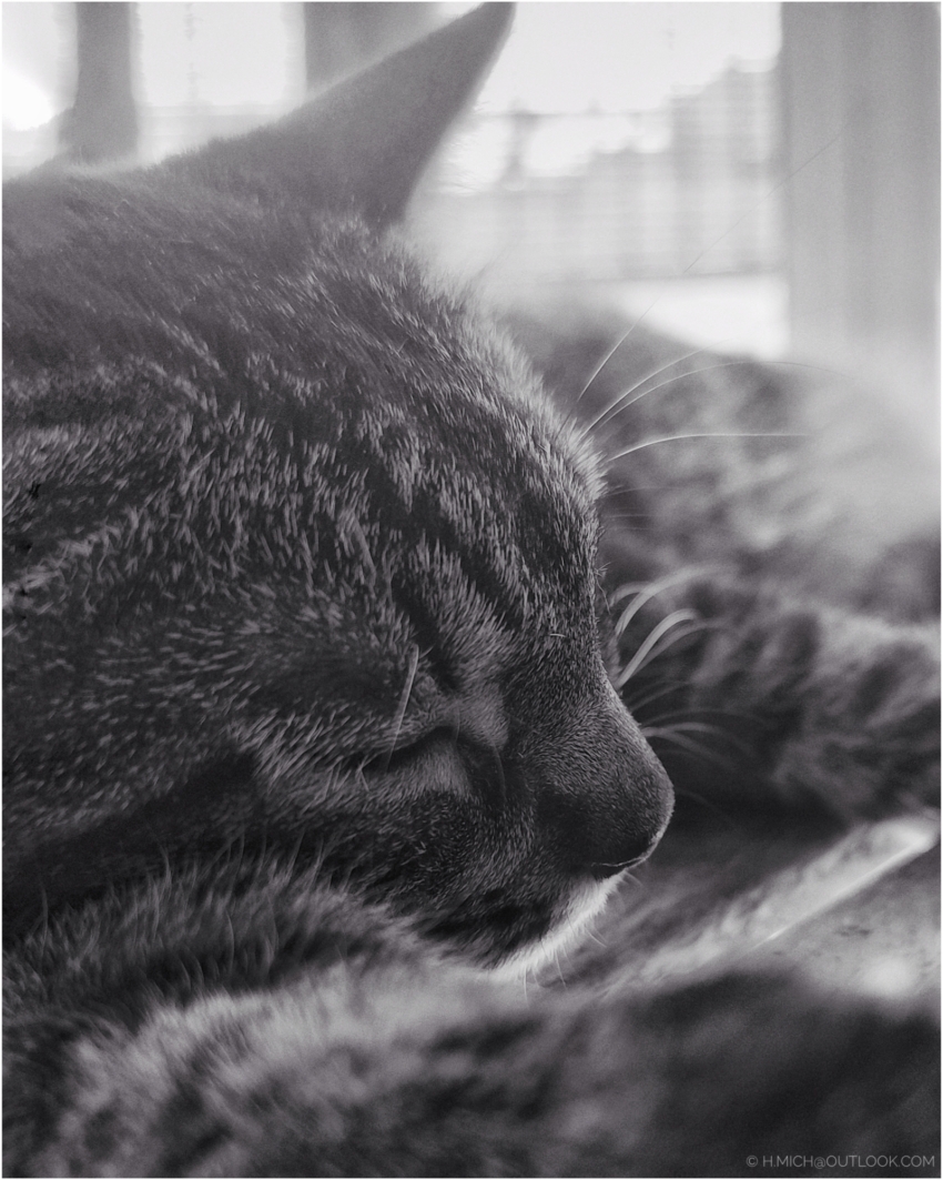 Studio-One.Art.br Repo Fotografia em Rio Preto SP/Brasil