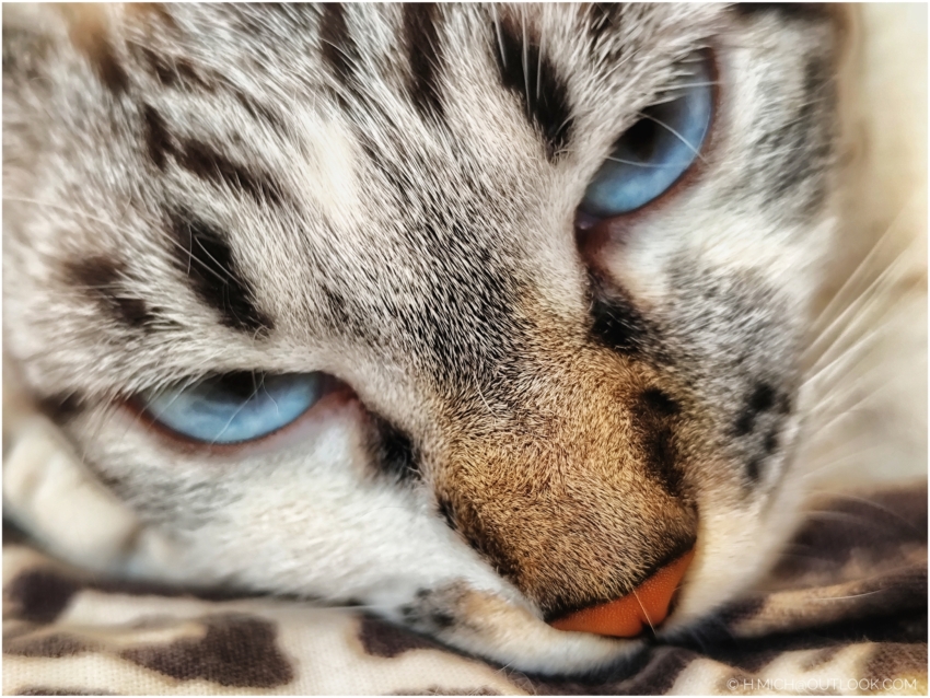 Studio-One.Art.br Repo Fotografia em Rio Preto SP/Brasil