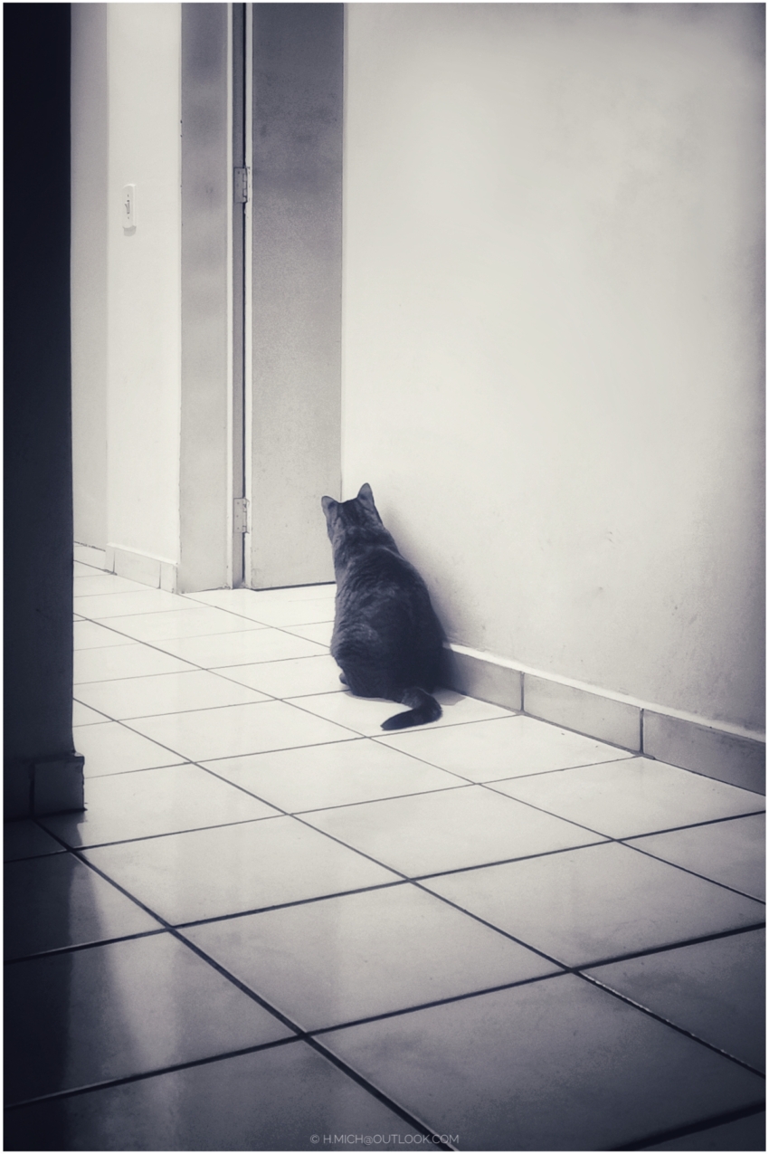 Studio-One.Art.br Repo Fotografia em Rio Preto SP/Brasil