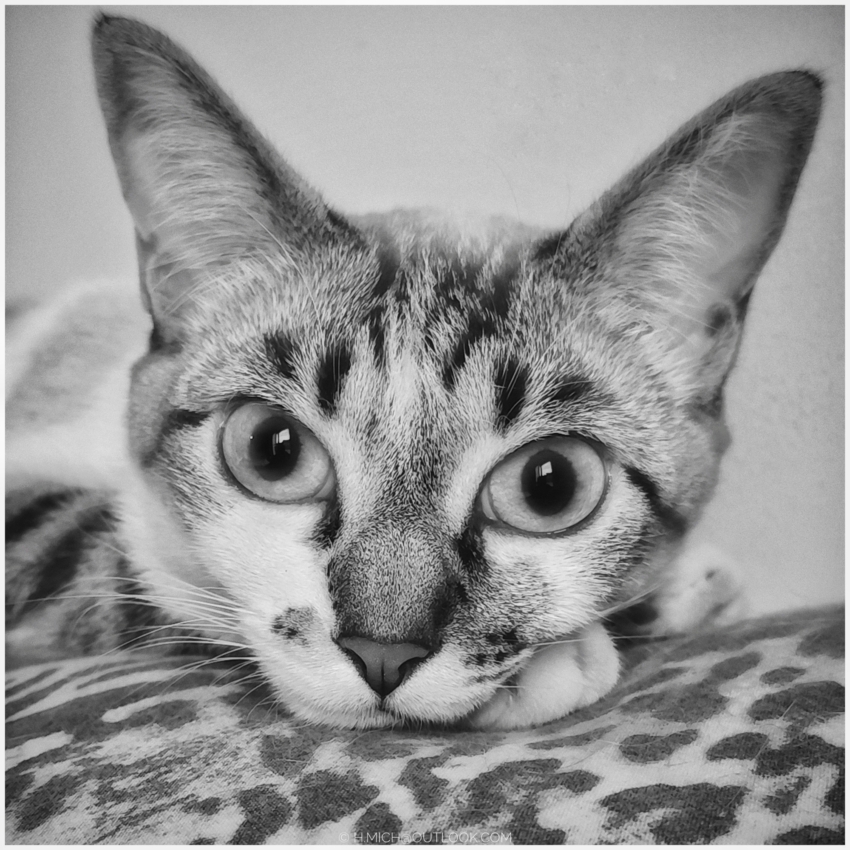 Studio-One.Art.br Repo Fotografia em Rio Preto SP/Brasil