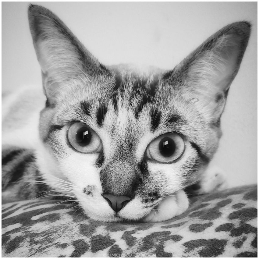 Studio-One.Art.br Repo Fotografia em Rio Preto SP/Brasil