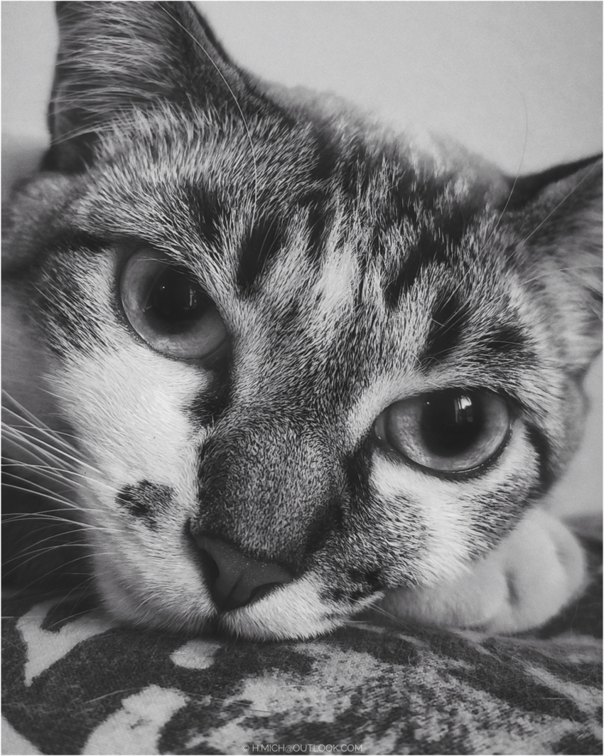 Studio-One.Art.br Repo Fotografia em Rio Preto SP/Brasil