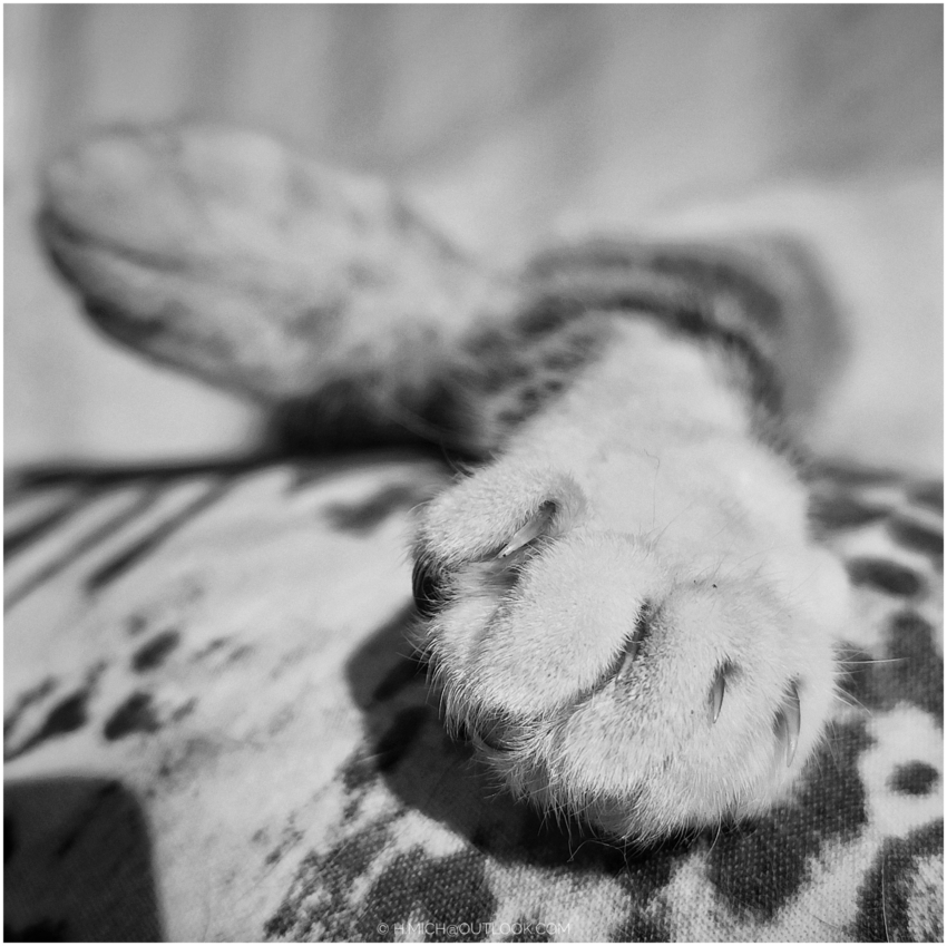 Studio-One.Art.br Repo Fotografia em Rio Preto SP/Brasil