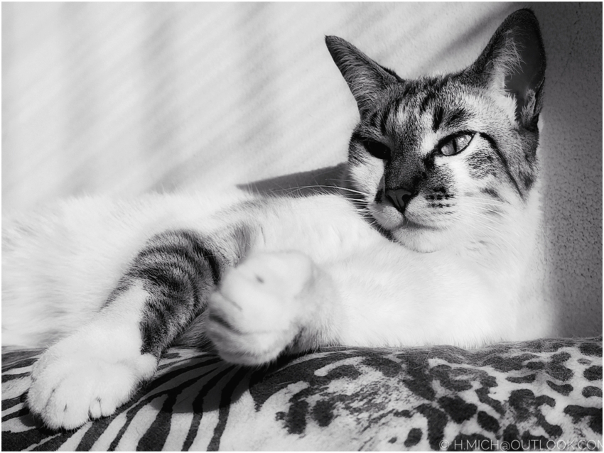 Studio-One.Art.br Repo Fotografia em Rio Preto SP/Brasil