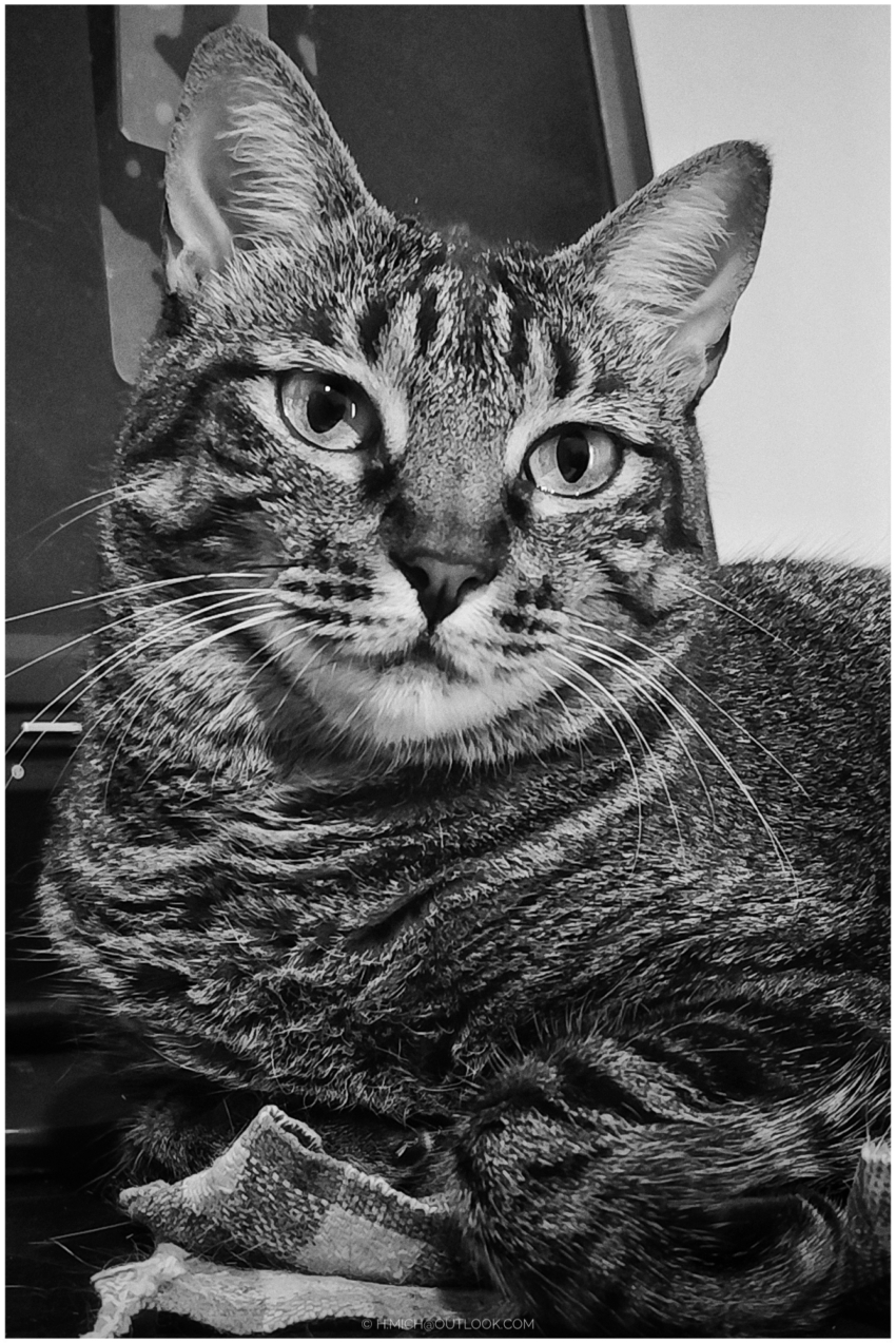 Studio-One.Art.br Repo Fotografia em Rio Preto SP/Brasil