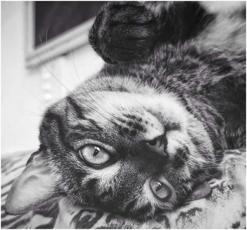 Studio-One.Art.br Repo Fotografia em Rio Preto SP/Brasil