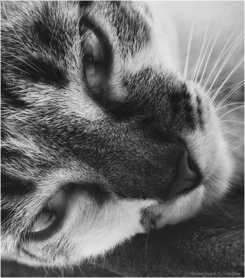 Studio-One.Art.br Repo Fotografia em Rio Preto SP/Brasil