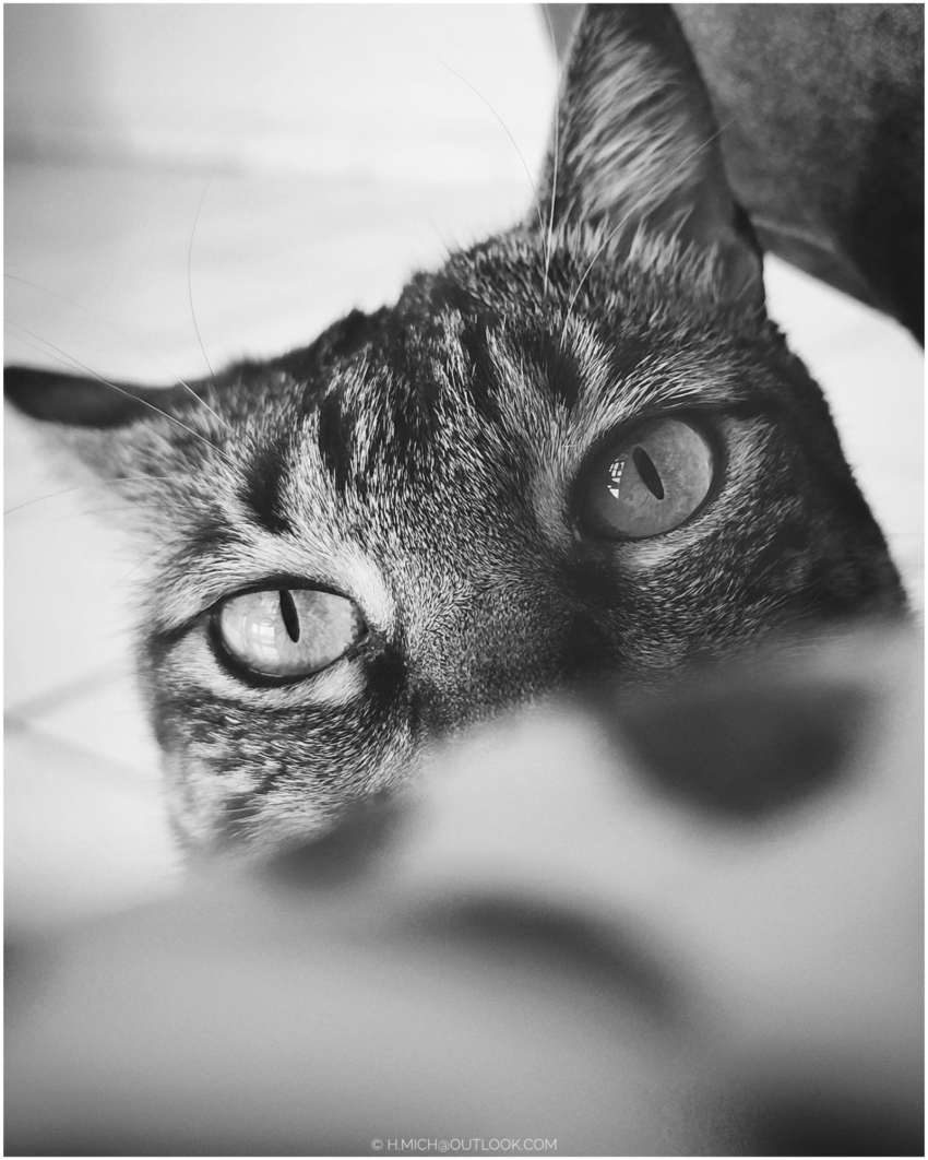 Studio-One.Art.br Repo Fotografia em Rio Preto SP/Brasil