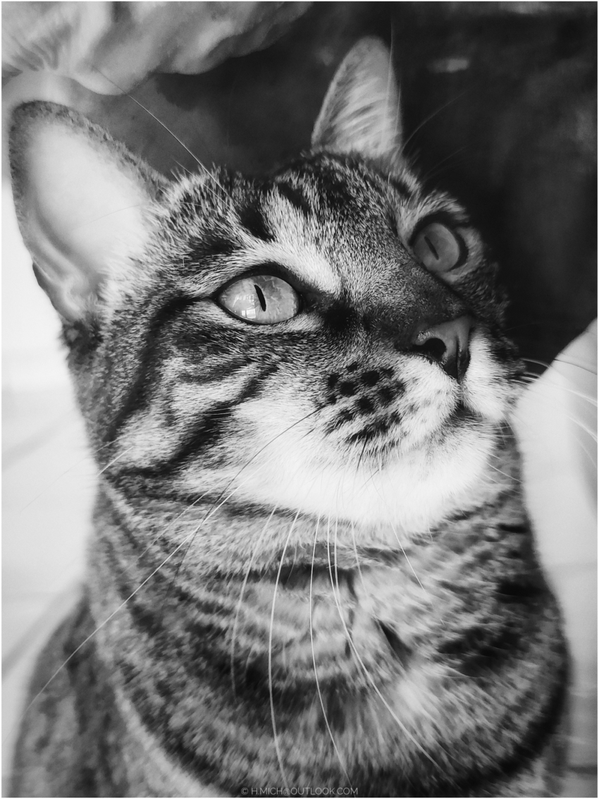 Studio-One.Art.br Repo Fotografia em Rio Preto SP/Brasil