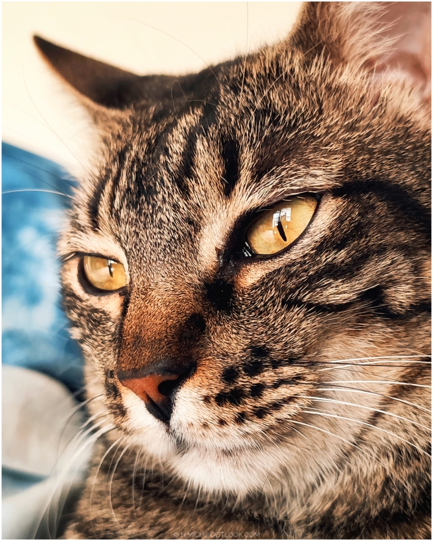 Studio-One.Art.br Repo Fotografia em Rio Preto SP/Brasil