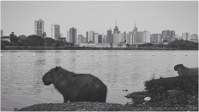 Studio-One.Art.br Repo Fotografia em Rio Preto SP/Brasil