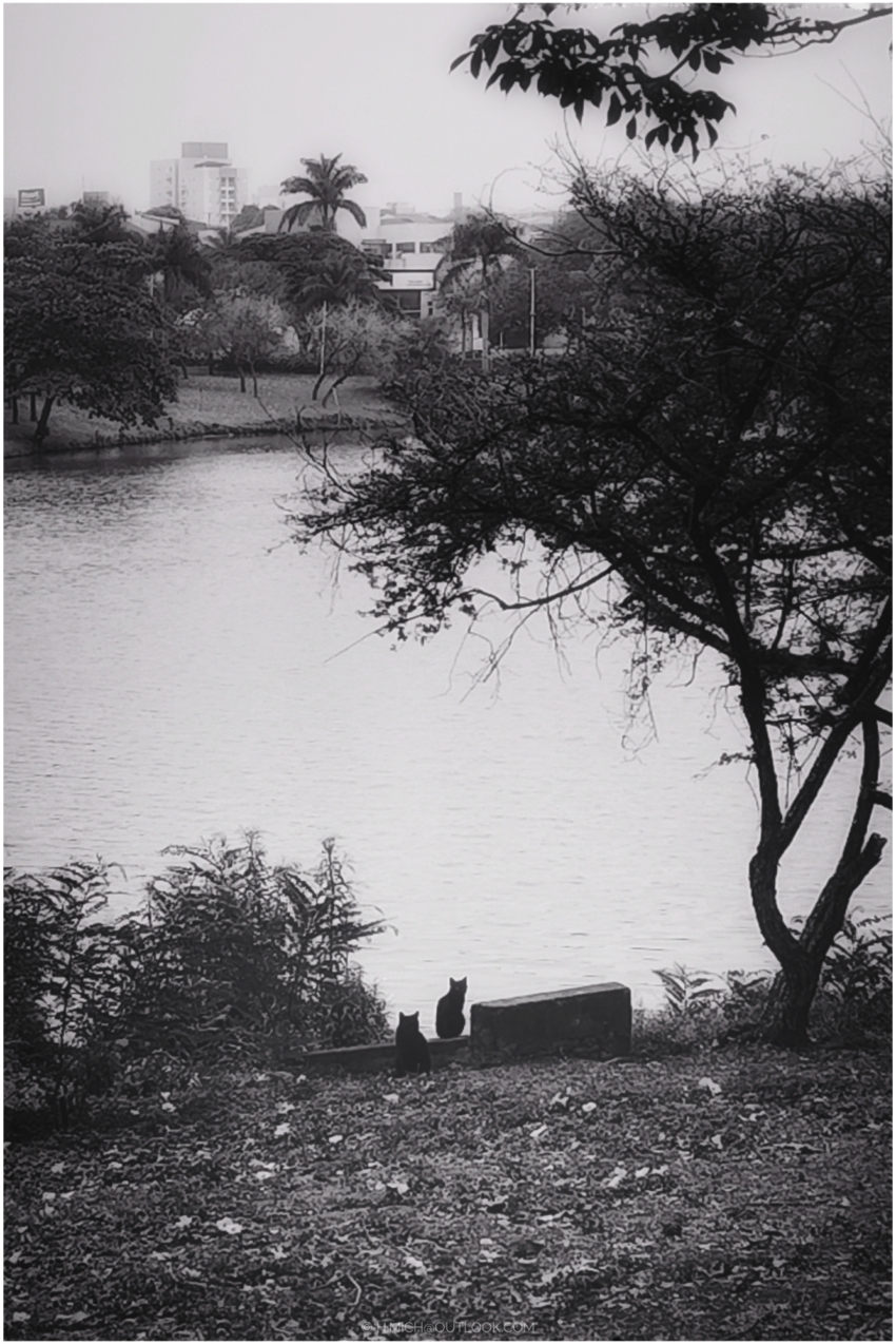 Studio-One.Art.br Repo Fotografia em Rio Preto SP/Brasil