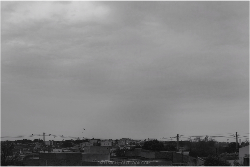 Studio-One.Art.br Repo Fotografia em Rio Preto SP/Brasil