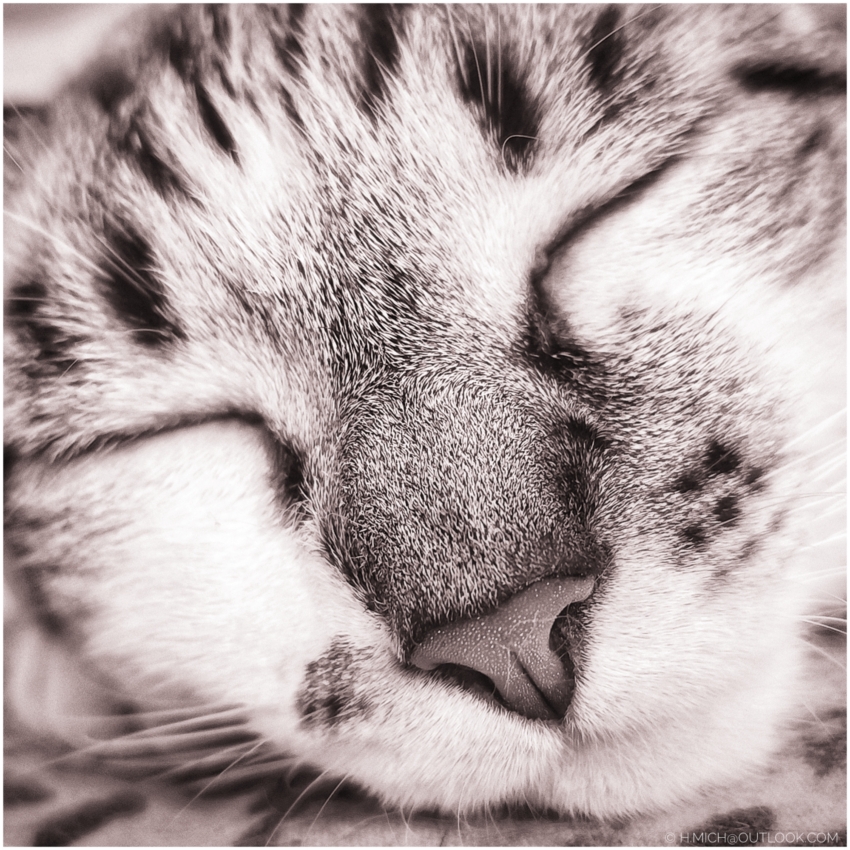 Studio-One.Art.br Repo Fotografia em Rio Preto SP/Brasil