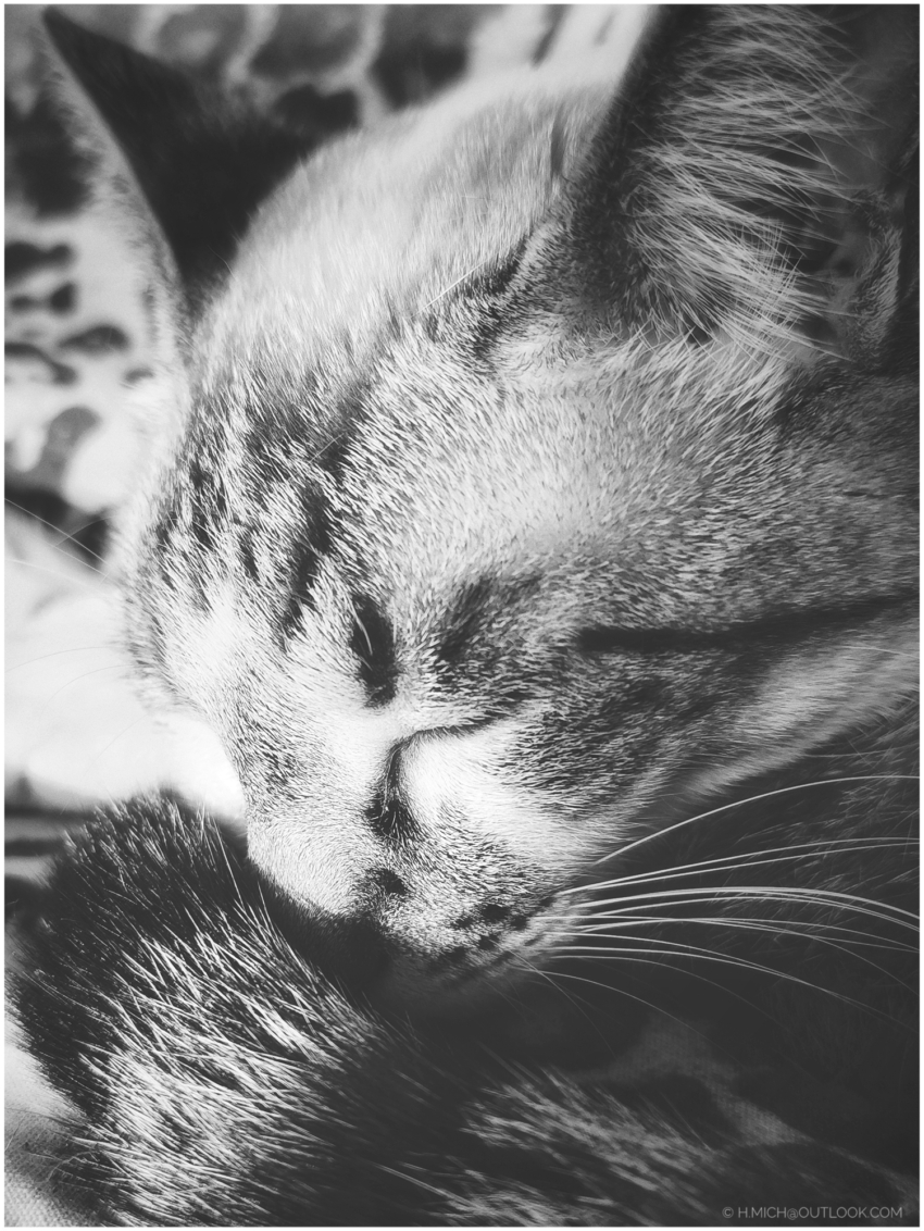 Studio-One.Art.br Repo Fotografia em Rio Preto SP/Brasil