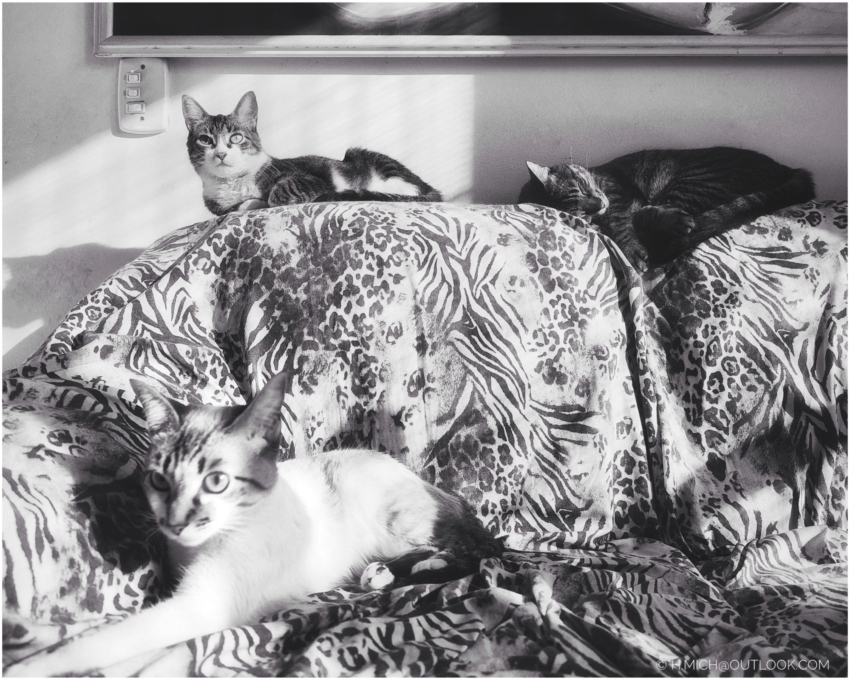 Studio-One.Art.br Repo Fotografia em Rio Preto SP/Brasil