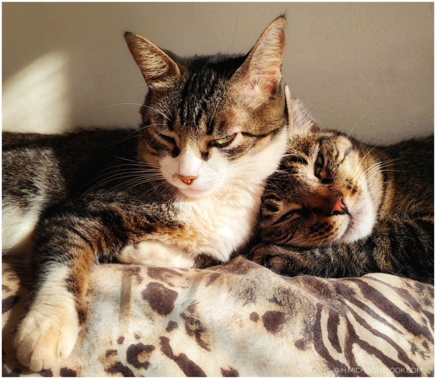 Studio-One.Art.br Repo Fotografia em Rio Preto SP/Brasil