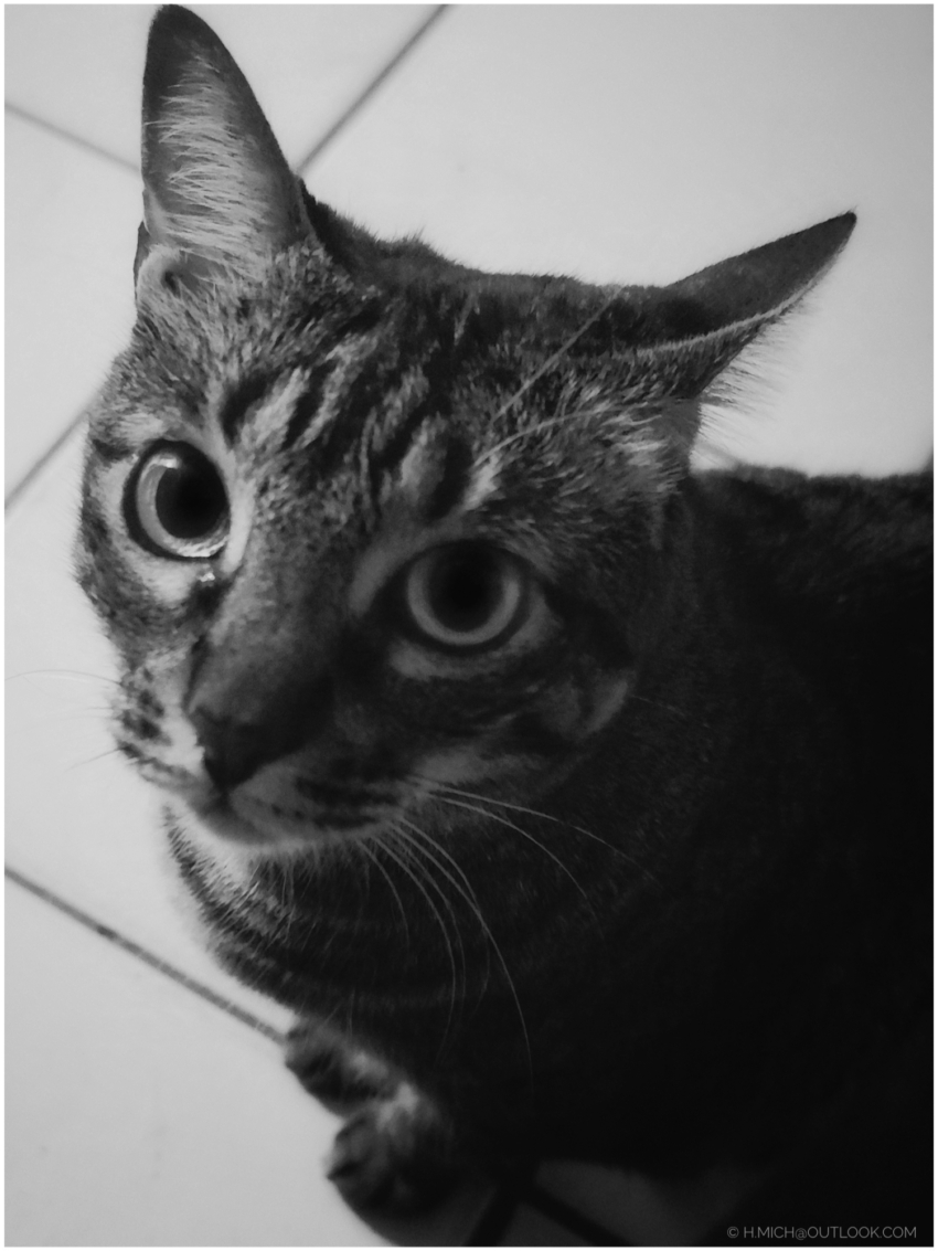 Studio-One.Art.br Repo Fotografia em Rio Preto SP/Brasil