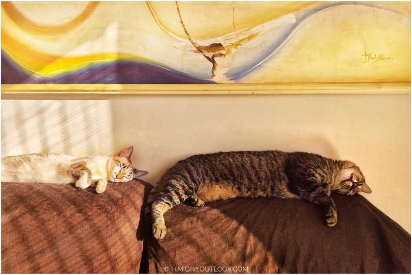 Studio-One.Art.br Repo Fotografia em Rio Preto SP/Brasil