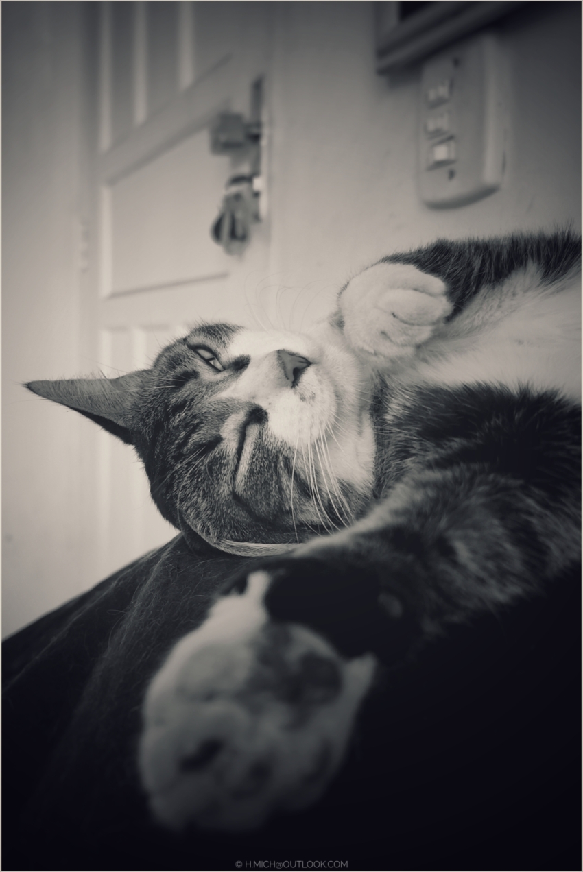 Studio-One.Art.br Repo Fotografia em Rio Preto SP/Brasil