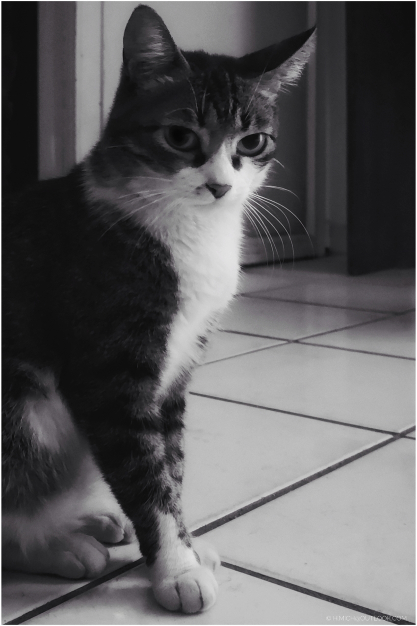 Studio-One.Art.br Repo Fotografia em Rio Preto SP/Brasil