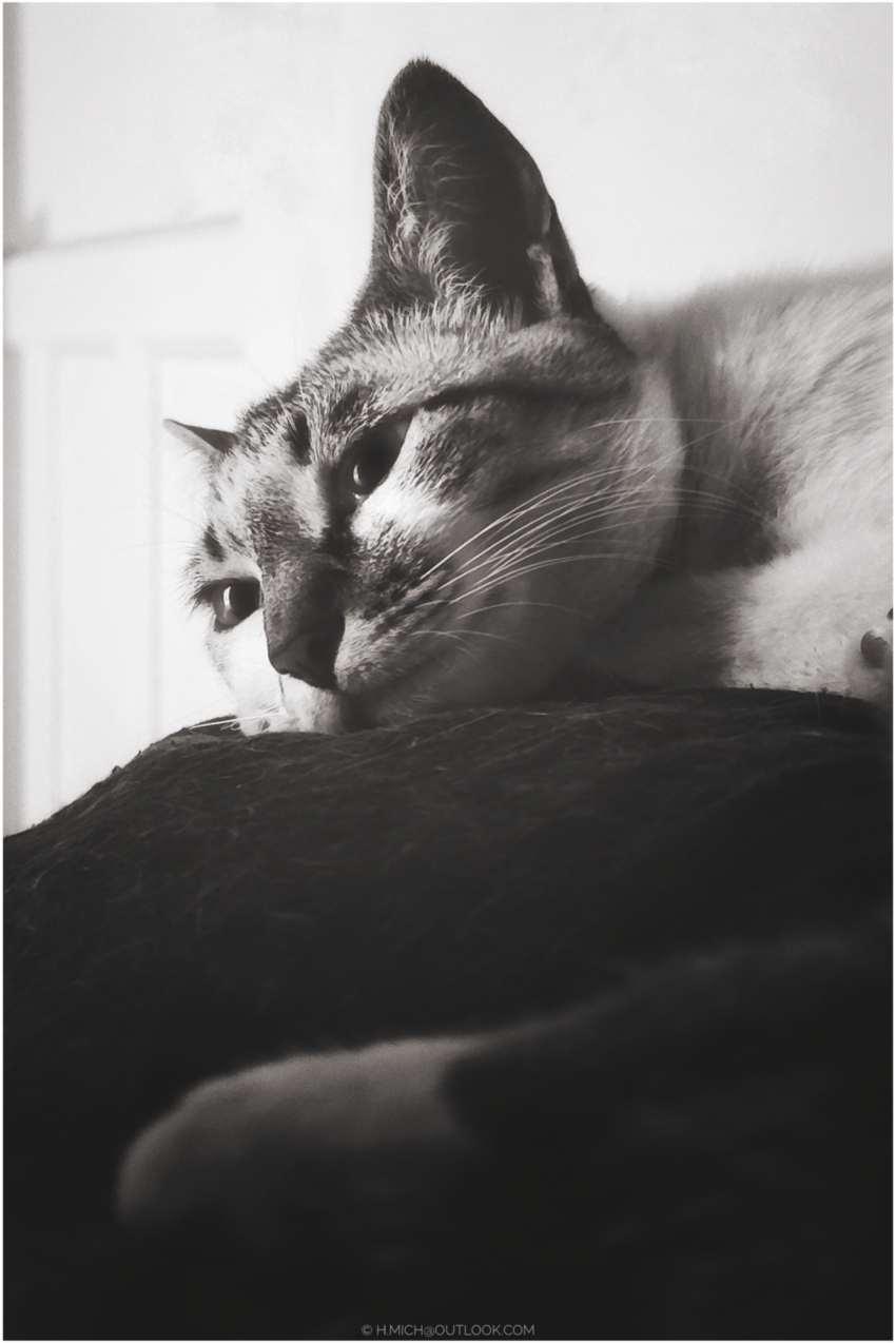 Studio-One.Art.br Repo Fotografia em Rio Preto SP/Brasil