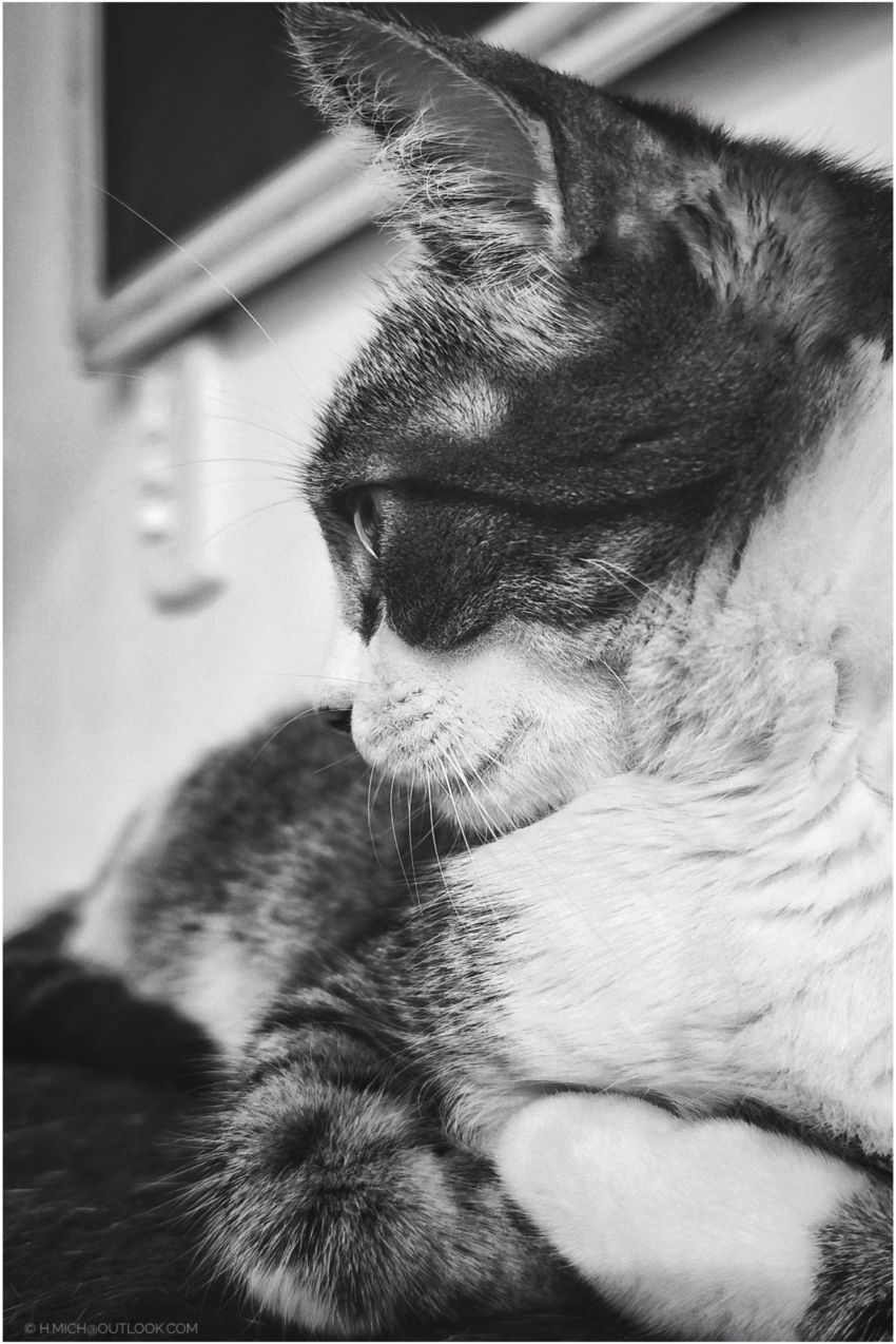 Studio-One.Art.br Repo Fotografia em Rio Preto SP/Brasil