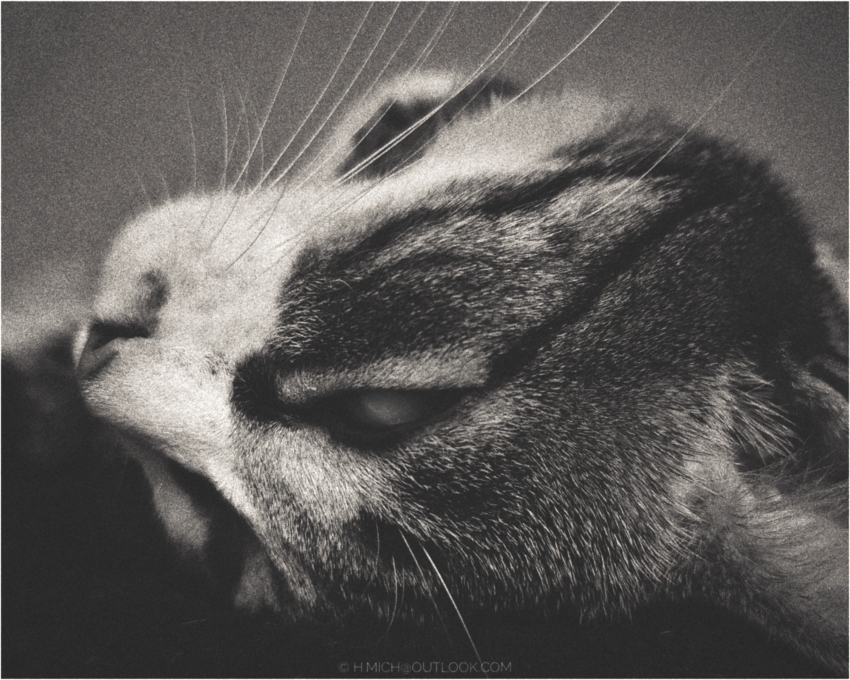 Studio-One.Art.br Repo Fotografia em Rio Preto SP/Brasil