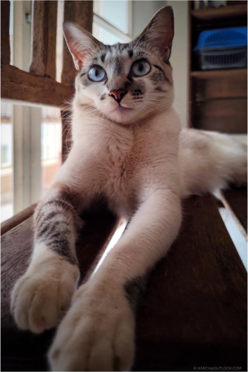 Studio-One.Art.br Repo Fotografia em Rio Preto SP/Brasil