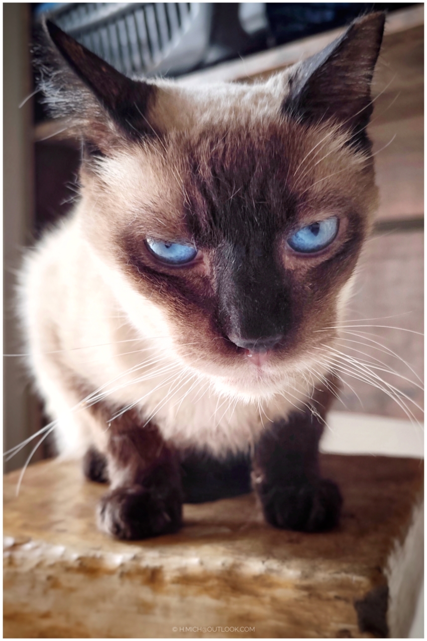 Studio-One.Art.br Repo Fotografia em Rio Preto SP/Brasil