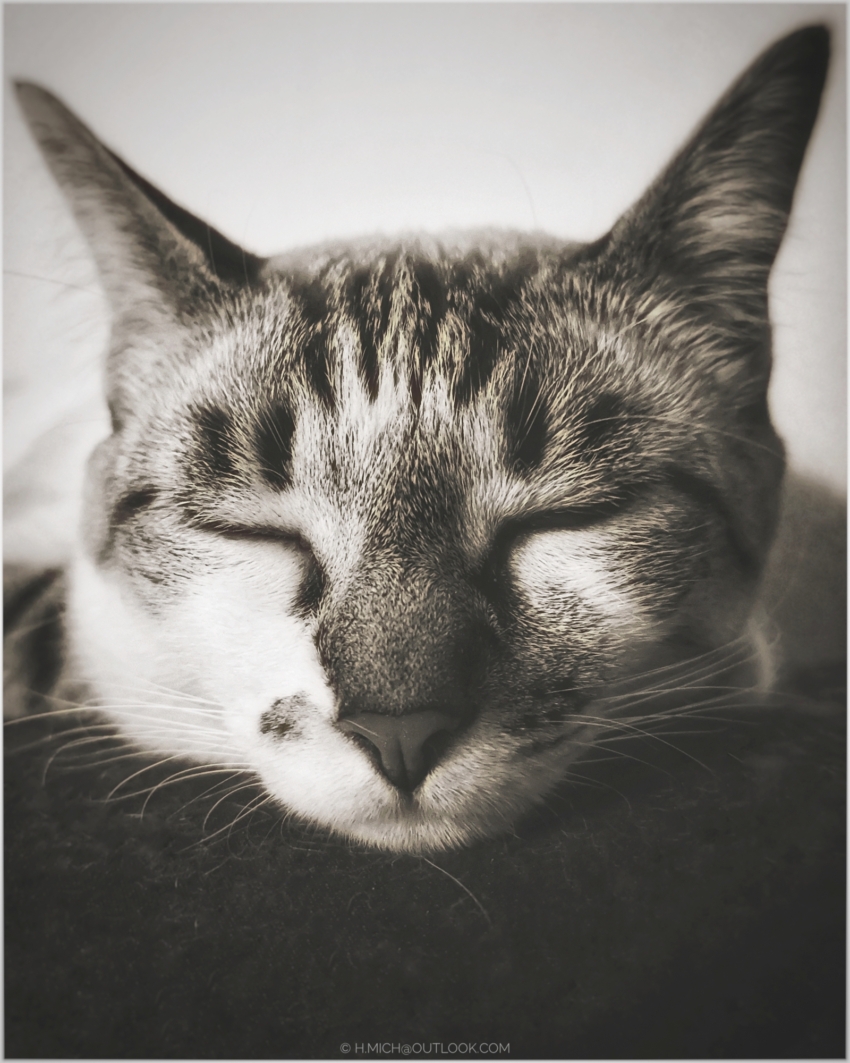 Studio-One.Art.br Repo Fotografia em Rio Preto SP/Brasil