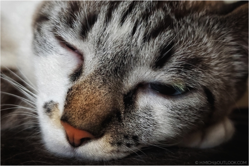 Studio-One.Art.br Repo Fotografia em Rio Preto SP/Brasil