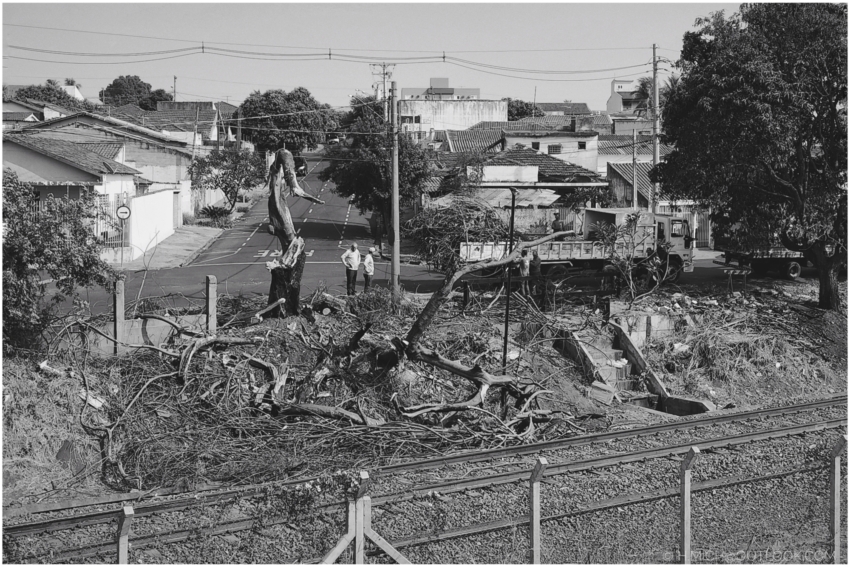 Studio-One.Art.br Repo Fotografia em Rio Preto SP/Brasil