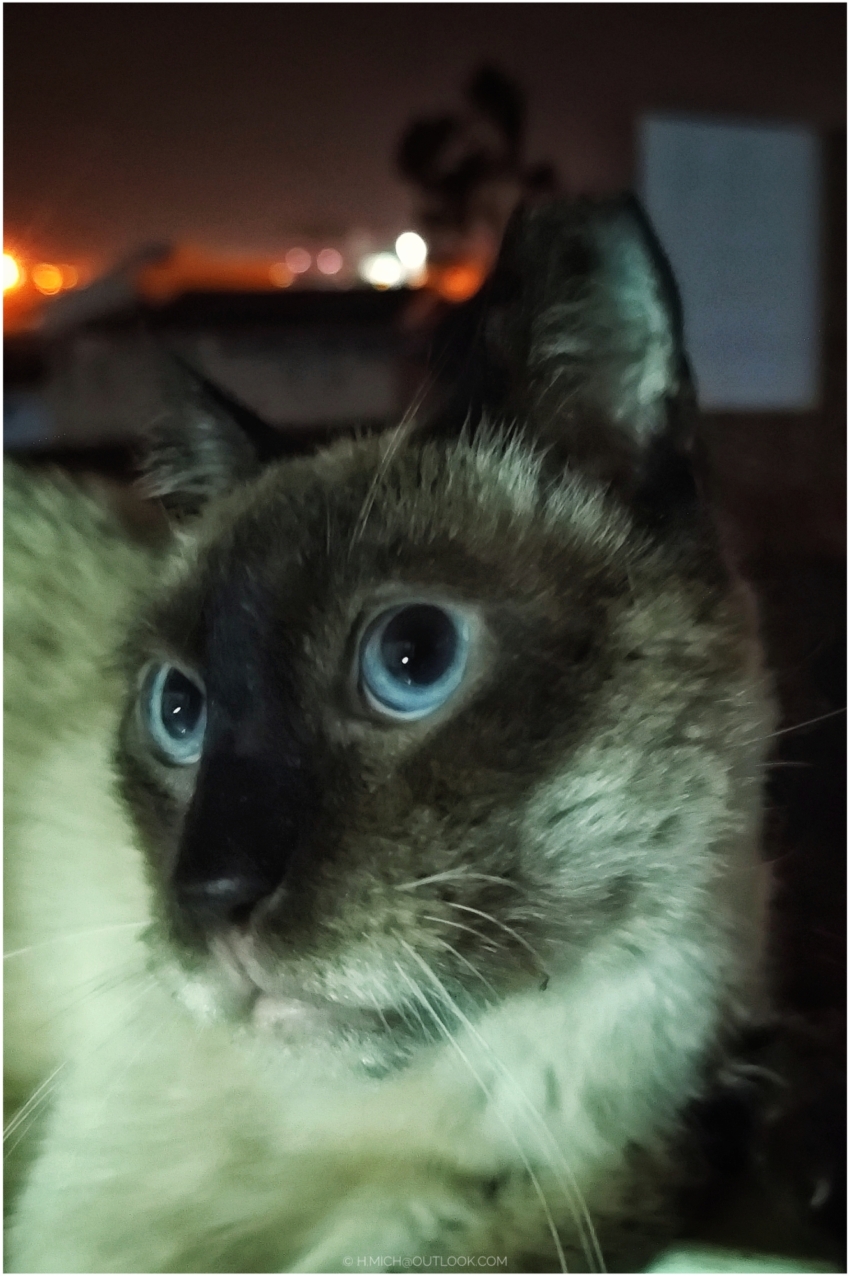 Studio-One.Art.br Repo Fotografia em Rio Preto SP/Brasil