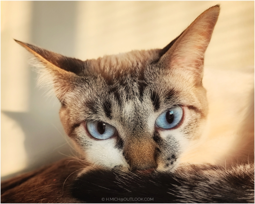 Studio-One.Art.br Repo Fotografia em Rio Preto SP/Brasil