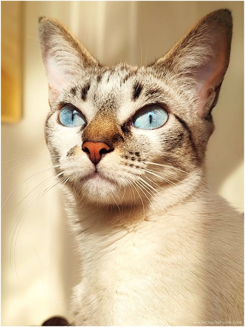 Studio-One.Art.br Repo Fotografia em Rio Preto SP/Brasil