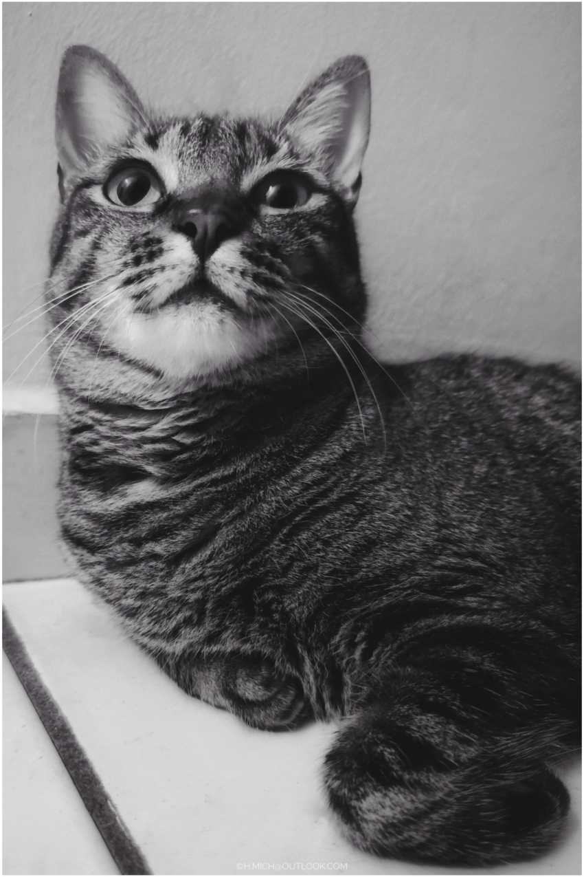 Studio-One.Art.br Repo Fotografia em Rio Preto SP/Brasil