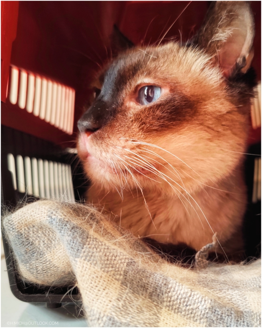 Studio-One.Art.br Repo Fotografia em Rio Preto SP/Brasil