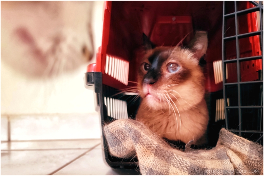 Studio-One.Art.br Repo Fotografia em Rio Preto SP/Brasil